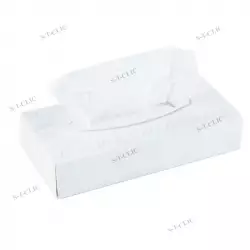 mouchoirs blancs ecolabel boîte de 100